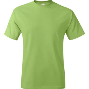 Hanes 5250 Authentic T-Shirt