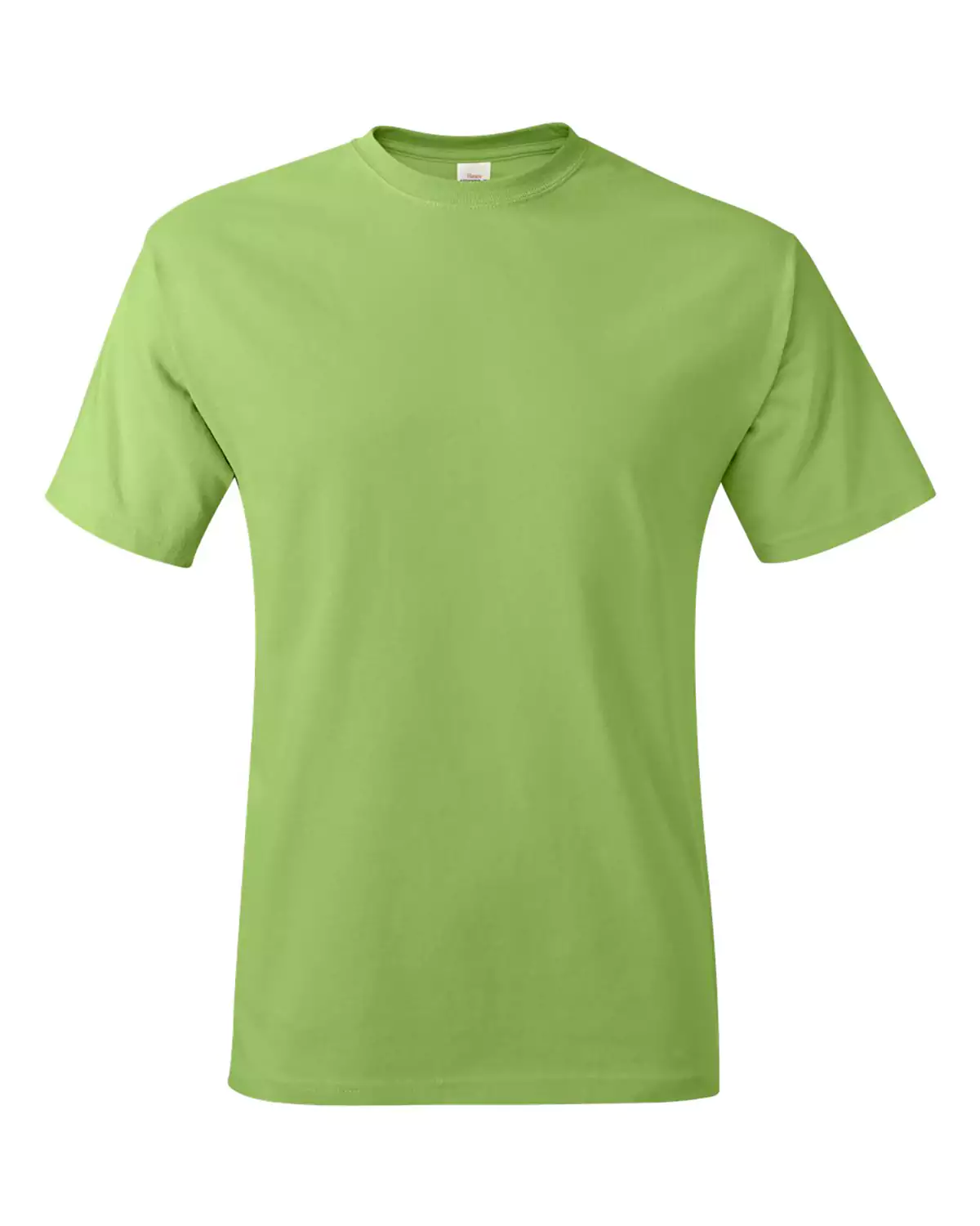Hanes 5250 Authentic T-Shirt