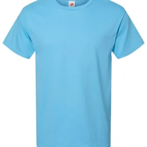 Hanes 5280 Essential-T T-Shirt