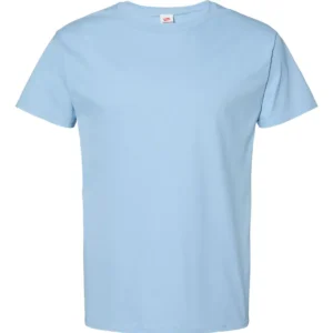 Hanes 5280 Essential-T T-Shirt